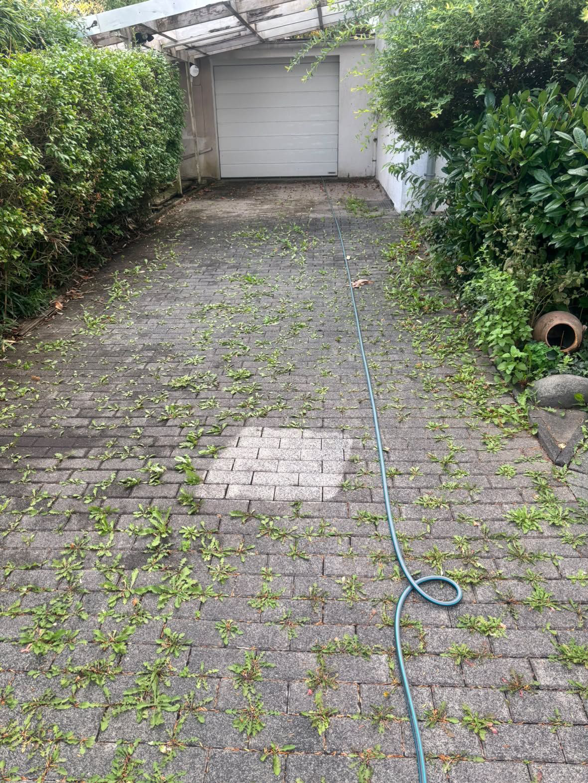 Einfahrt vor der Reinigung