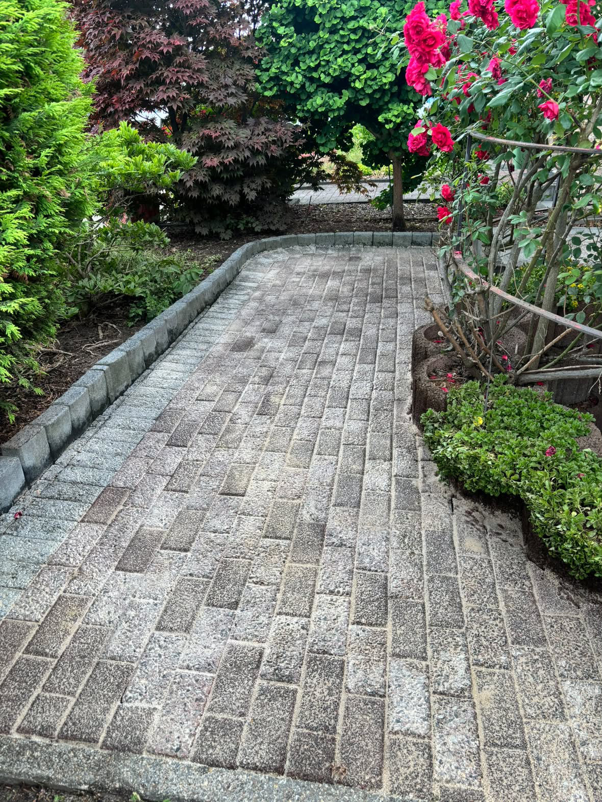 Gartenweg nach der Reinigung